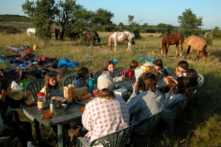  Picnic amistoso 